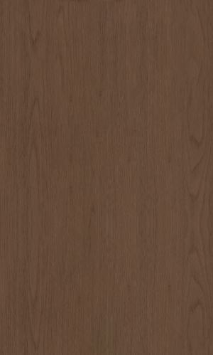 ModernWood Texture