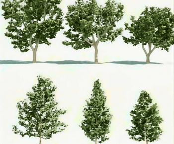 Modern Tree-ID:238482007