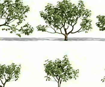 Modern Tree-ID:715768109