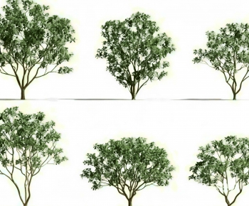 Modern Tree-ID:449829104
