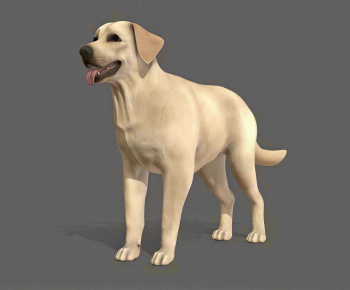 Modern Animal Dog-ID:352319004
