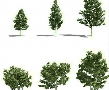 Modern Tree-ID:295743949