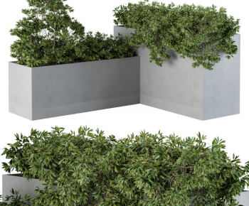 Modern Flower Bed, Flower Bowl, Flower Box-ID:204029132
