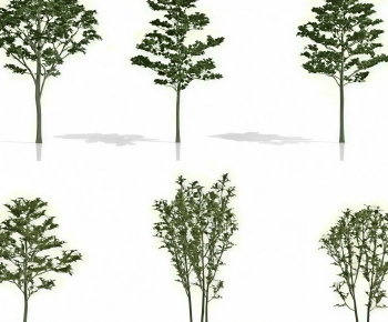 Modern Tree-ID:409981015
