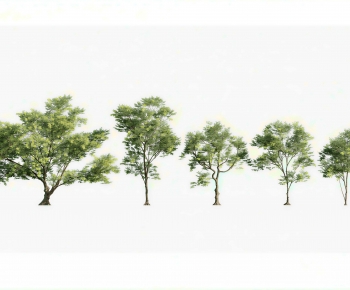 Modern Tree-ID:453008899