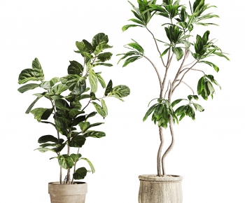 Modern Ground Green Plant Potted Plants-ID:348530054