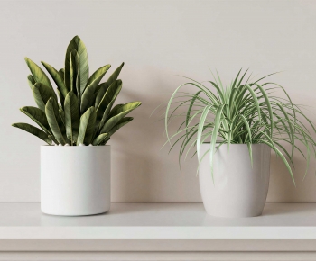 Modern Potted Green Plant-ID:521023043