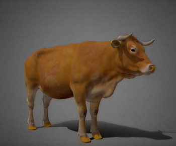 Modern Mammal-ID:169198995