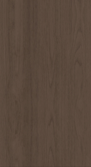 ModernWood Texture