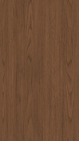 ModernWood Texture