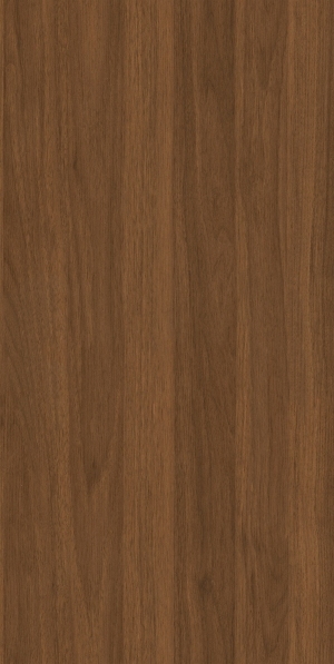 ModernWood Texture