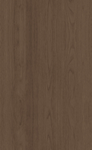 ModernWood Texture