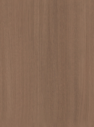 ModernWood Texture