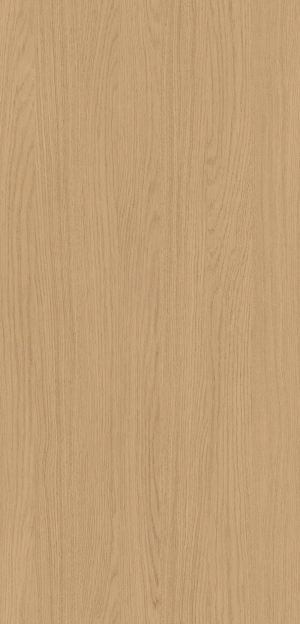 ModernWood Texture