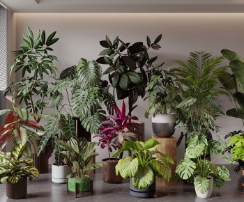 Modern Ground Green Plant Potted Plants-ID:779769902