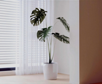 Modern Ground Green Plant Potted Plants-ID:263377904