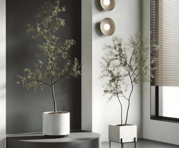 Modern Ground Green Plant Potted Plants-ID:891786103