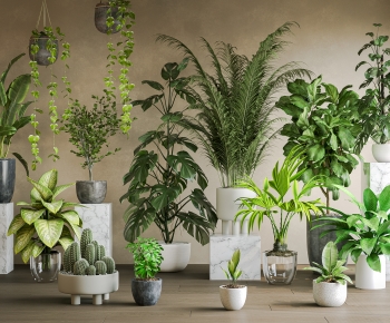 Modern Ground Green Plant Potted Plants-ID:734802019