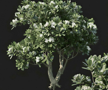 Modern Tree-ID:624787095