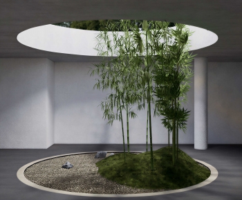 Wabi-sabi Style Plant Landscaping-ID:798031099