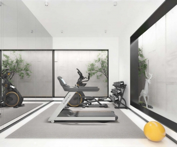 Modern Home Fitness Room-ID:643707048