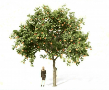 Modern Tree-ID:923581167
