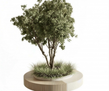 Modern Tree Pool-ID:136673938