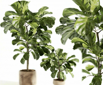 Modern Ground Green Plant Potted Plants-ID:933520085