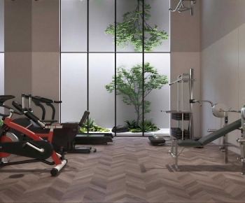 Modern Home Fitness Room-ID:747561937