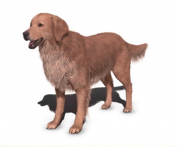 Modern Animal Dog-ID:599487075