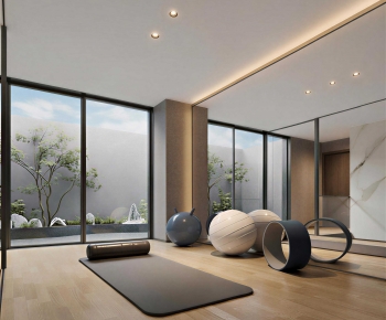 Modern Home Fitness Room-ID:806617024