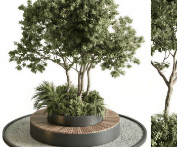 Modern Tree Pool-ID:673877959