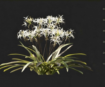 Modern Flowers And Grass-ID:460342885