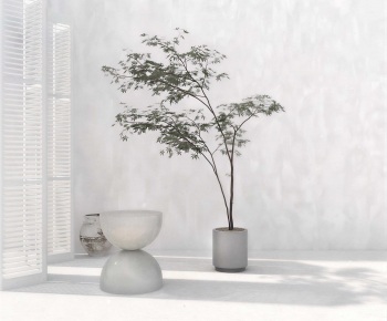 Wabi-sabi Style Ground Green Plant Potted Plants-ID:592390069