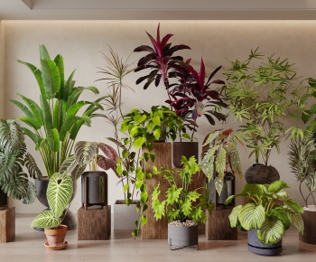 Modern Ground Green Plant Potted Plants-ID:571557041