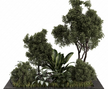Modern Plant Pile-ID:361036068