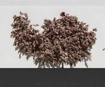 Modern Plant Wall-ID:174448011