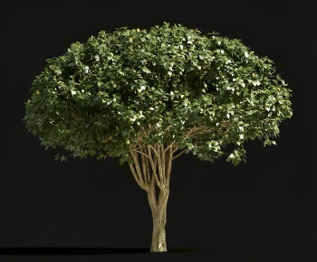 Modern Shrubbery-ID:627159121