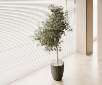Modern Ground Green Plant Potted Plants-ID:197952031