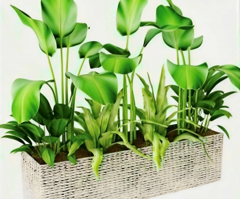 Modern Flower Bed, Flower Bowl, Flower Box-ID:788193948