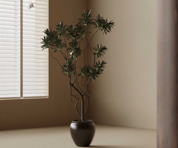 Wabi-sabi Style Ground Green Plant Potted Plants-ID:361998082