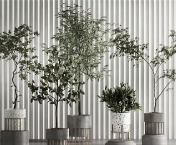 Modern Ground Green Plant Potted Plants-ID:714992055