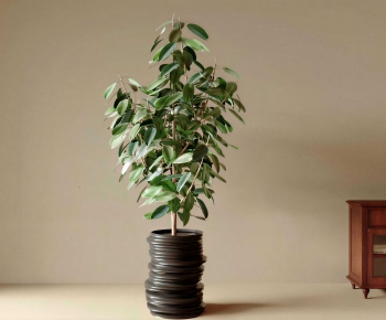 Wabi-sabi Style Ground Green Plant Potted Plants-ID:123547089