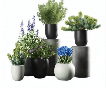 Modern Potted Green Plant-ID:760241032