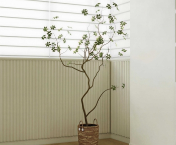 Modern Ground Green Plant Potted Plants-ID:727835898