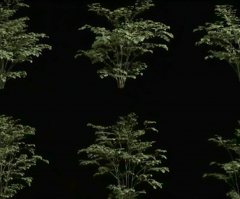 Modern Shrubbery-ID:138885974