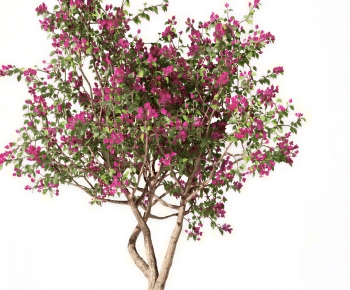 Modern Tree-ID:945370266