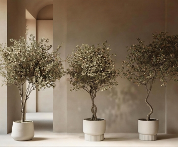 Modern Ground Green Plant Potted Plants-ID:372617968