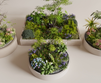 Modern Flower Bed, Flower Bowl, Flower Box-ID:803472044