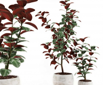 Modern Ground Green Plant Potted Plants-ID:575553897
